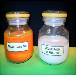 Crude palm oil