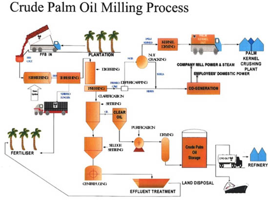 plam oil machine