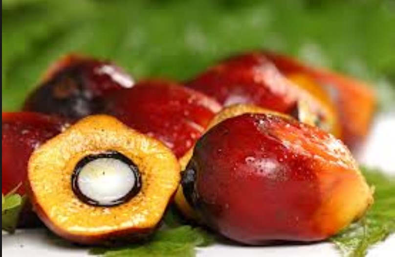 Palm oil