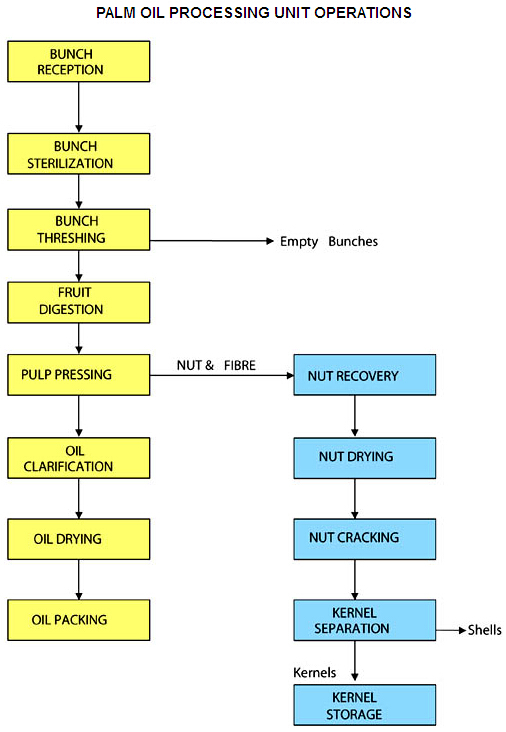 palm oil processing unit operations