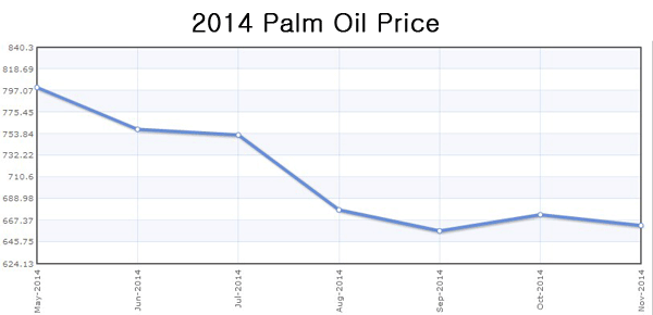 palm oil production machine