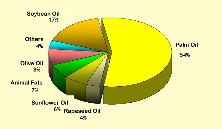 palm oil plant