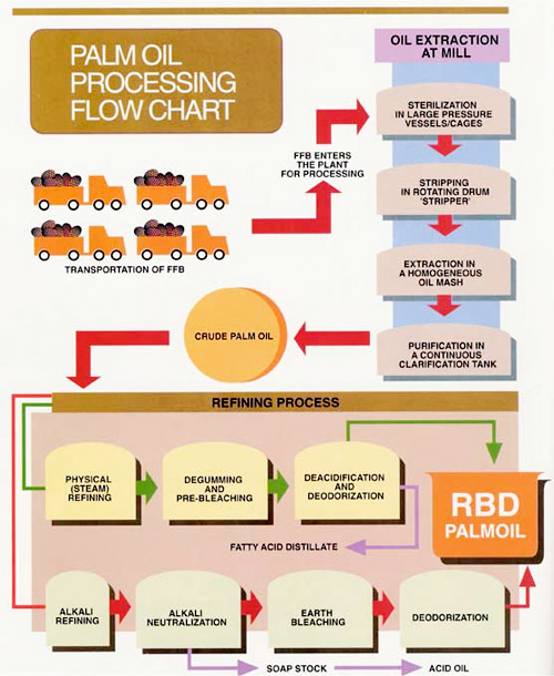 palm oil processing flow chart