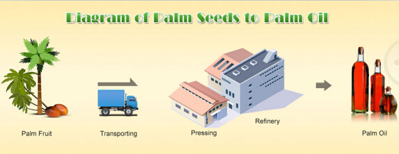 palm kernel oil pressing plant