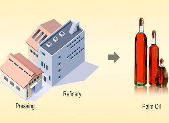 palm oil machine