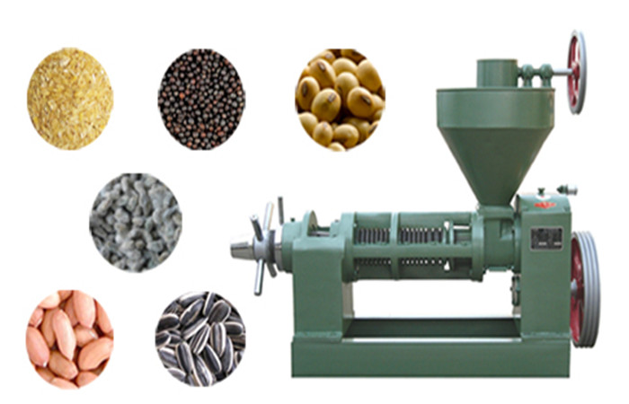 screw oil expeller machine