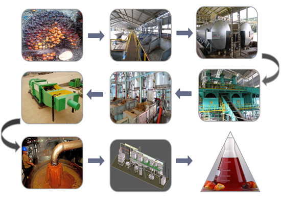 palm oil press process