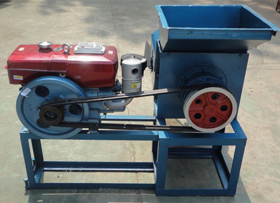 palm fruit oil press machine 