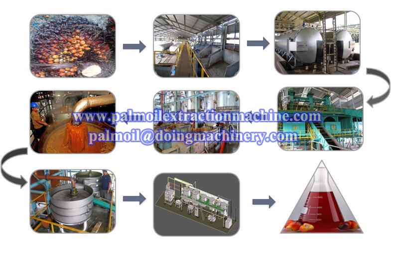 palm oil production machine 