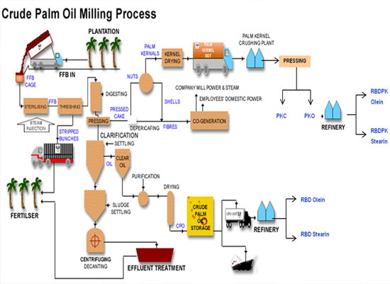 palm oil press process