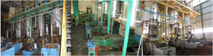 palm oil mill plant 